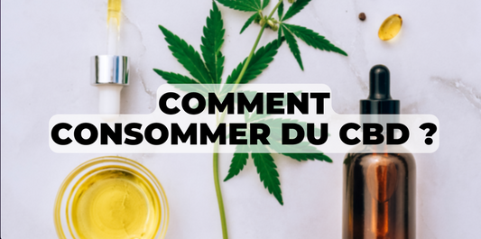 Comment consommer du CBD ?