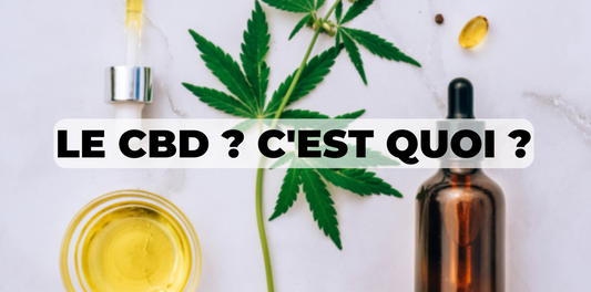 Qu'est ce que le CBD ?