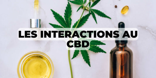 Interactions du CBD