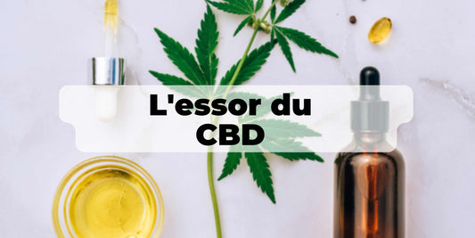 Essor du CBD