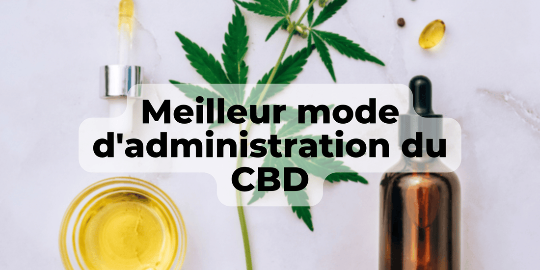 Le meilleur mode d'administration du CBD