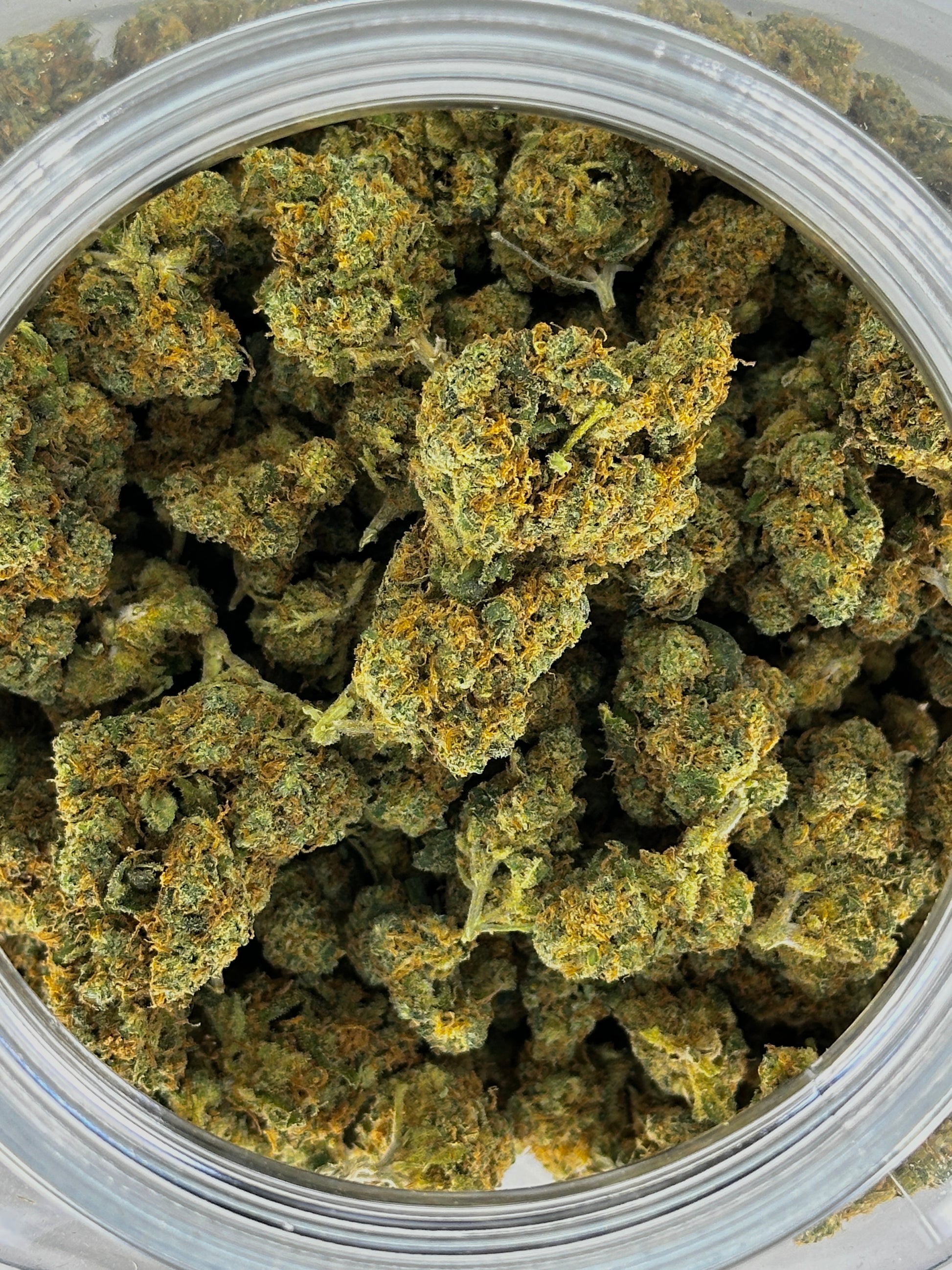 Moby Dick KushCbdShop Moby Dick KushCbdShop